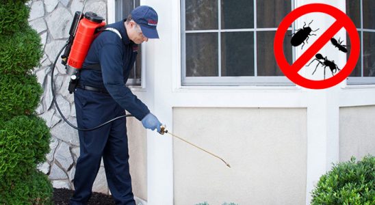 Onikişubat Kemirgen İlaçlama böcek ilaçlama ve haşere kontrolü — ilaclama-tr.com